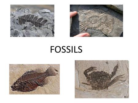 FOSSILS. Geologic Time Know this - A fossil is the naturally preserved remains or traces of animals or plants that lived in the geologic past. There are.