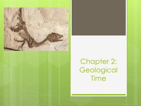 Chapter 2: Geological Time. Fossils  Fossils provide a window into the past as they provide evidence about the changes that have occurred to the Earth.