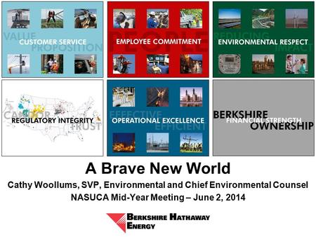 A Brave New World Cathy Woollums, SVP, Environmental and Chief Environmental Counsel NASUCA Mid-Year Meeting – June 2, 2014.