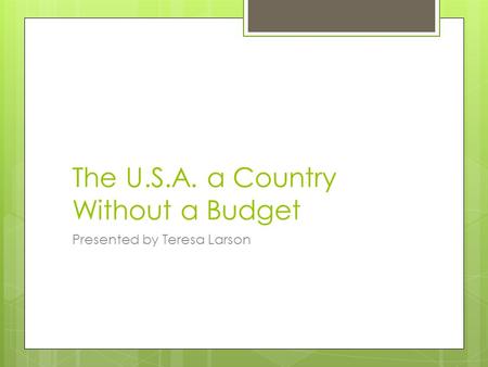 The U.S.A. a Country Without a Budget Presented by Teresa Larson.