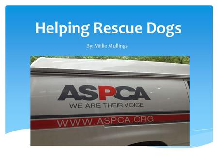 Helping Rescue Dogs By: Millie Mullings. The ASPCA is a place to help animals who may be sick and who do not have homes.