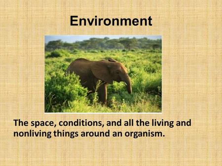 Environment The space, conditions, and all the living and nonliving things around an organism.