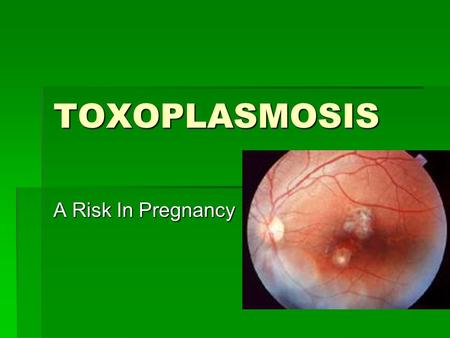 TOXOPLASMOSIS A Risk In Pregnancy. What is Toxoplasmosis?  It is an infection caused by the parasite Toxoplasma gondii.