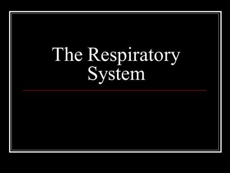 The Respiratory System. Primary Function of Respiratory System The respiratory system supplies the blood with oxygen so that the blood can deliver oxygen.