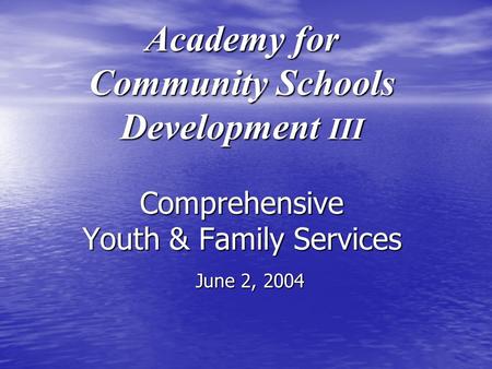 Academy for Community Schools Development III Comprehensive Youth & Family Services June 2, 2004.