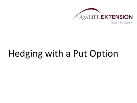 Hedging with a Put Option. The Basics of a Put  Put options provide producers a flexible forward pricing tool that protects against a price decline.