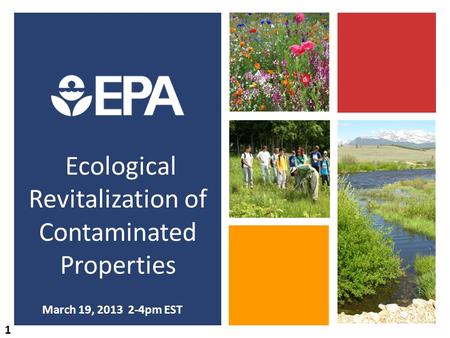 Ecological Revitalization of Contaminated Properties March 19, 2013 2-4pm EST 1.