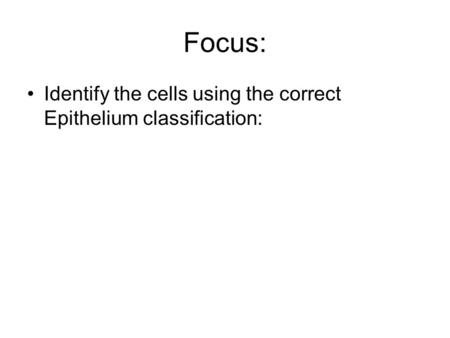 Focus: Identify the cells using the correct Epithelium classification: