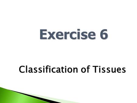 Exercise 6 Classification of Tissues.  Group of cells  Similar structure & function.