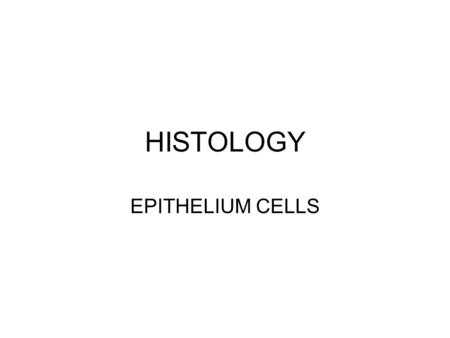 HISTOLOGY EPITHELIUM CELLS.