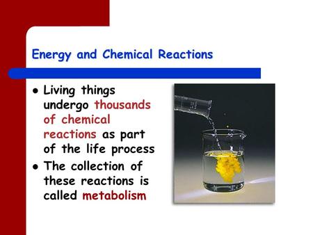 Energy and Chemical Reactions Living things undergo thousands of chemical reactions as part of the life process The collection of these reactions is called.