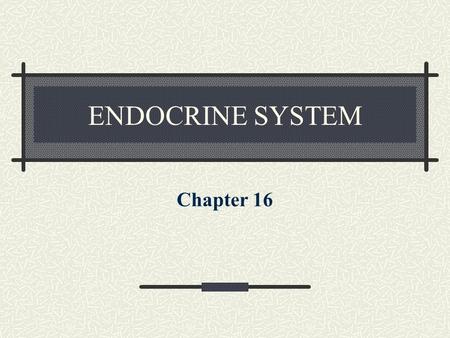 ENDOCRINE SYSTEM Chapter 16.