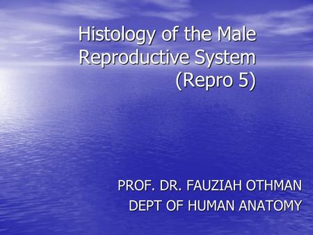 Histology of the Male Reproductive System (Repro 5) PROF. DR. FAUZIAH OTHMAN DEPT OF HUMAN ANATOMY.