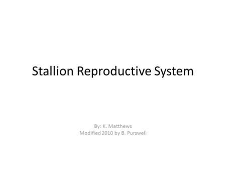Stallion Reproductive System By: K. Matthews Modified 2010 by B. Purswell.