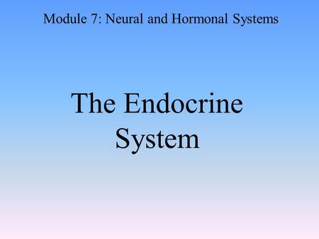 The Endocrine System Module 7: Neural and Hormonal Systems.