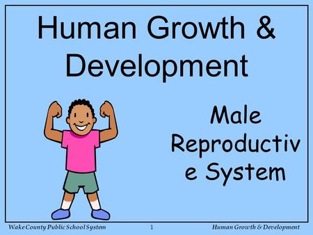 Wake County Public School SystemHuman Growth & Development 1 Male Reproductiv e System Human Growth & Development.