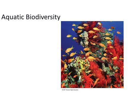Aquatic Biodiversity. Chapter Overview Questions What are the basic types of aquatic life zones and what factors influence the kinds of life they contain?
