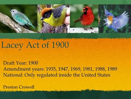 Lacey Act of 1900 Draft Year: 1900 Amendment years: 1935, 1947, 1969, 1981, 1988, 1989 National: Only regulated inside the United States Preston Crowell.