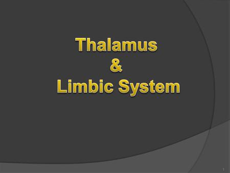 1. By the end of the lecture, the student should be able to :  Describe main functions of the thalamus  Name and identify different nuclei of thalamus.