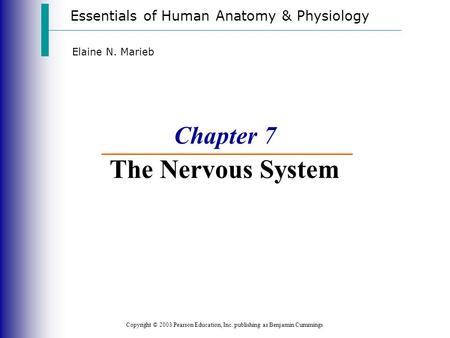 Essentials of Human Anatomy & Physiology Copyright © 2003 Pearson Education, Inc. publishing as Benjamin Cummings Elaine N. Marieb Chapter 7 The Nervous.