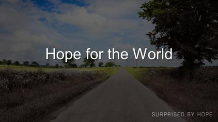 Hope for the World. Two Related Questions What is the ultimate Christian hope? What hope is their for change, rescue, transformation, new possibilities.