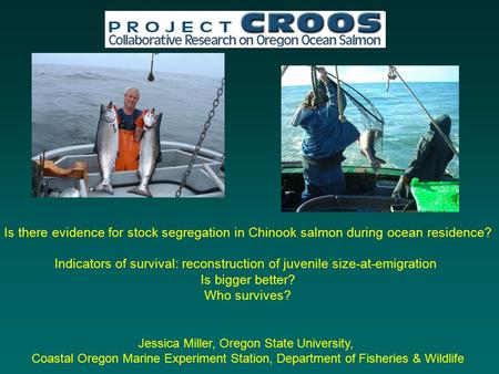 Is there evidence for stock segregation in Chinook salmon during ocean residence? Indicators of survival: reconstruction of juvenile size-at-emigration.