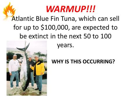 Atlantic Blue Fin Tuna, which can sell for up to $100,000, are expected to be extinct in the next 50 to 100 years. WARMUP!!! WHY IS THIS OCCURRING?
