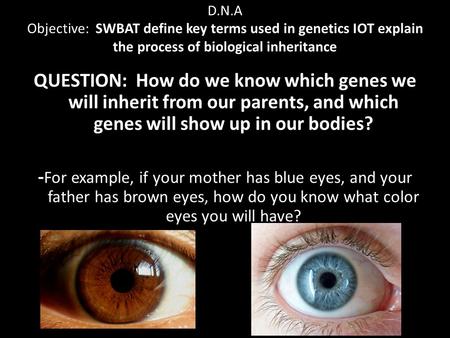 D.N.A Objective: SWBAT define key terms used in genetics IOT explain the process of biological inheritance QUESTION: How do we know which genes we will.