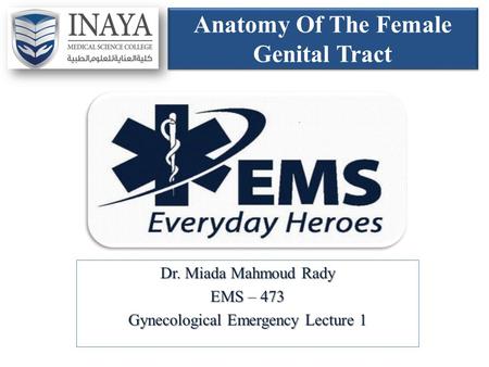 Anatomy Of The Female Genital Tract Dr. Miada Mahmoud Rady EMS – 473 Gynecological Emergency Lecture 1.