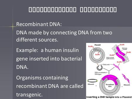 Biotechnology Techniques
