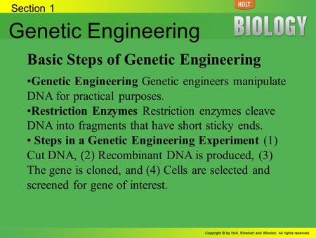 Section 1 Genetic Engineering Basic Steps of Genetic Engineering Genetic Engineering Genetic engineers manipulate DNA for practical purposes. Restriction.