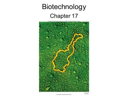 Biotechnology Chapter 17.