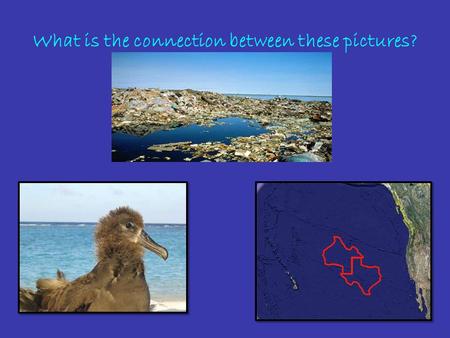 What is the connection between these pictures?. The Great Pacific Garbage Patch.