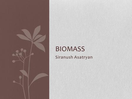 Siranush Asatryan BIOMASS. What is biomass? Biomass is all plant and animal matter on the Earth's surface. Biomass is anything that is alive. It is also.