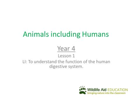 Animals including Humans Year 4 Lesson 1 LI: To understand the function of the human digestive system.