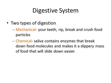 Digestive System Two types of digestion – Mechanical- your teeth, rip, break and crush food particles – Chemical- saliva contains enzymes that break down.