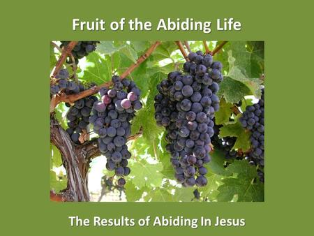 Fruit of the Abiding Life The Results of Abiding In Jesus.