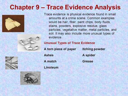 Trace evidence is physical evidence found in small amounts at a crime scene. Common examples would be hair, fiber, paint chips, body fluids, stains, powders,