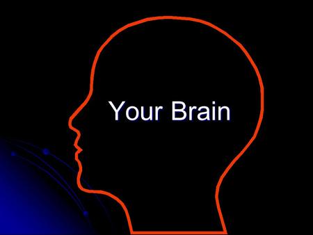 Your Brain.