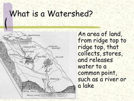 What is a Watershed? An area of land, from ridge top to ridge top, that collects, stores, and releases water to a common point, such as a river or a lake.
