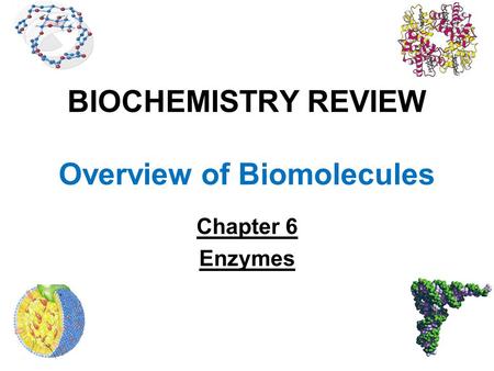 BIOCHEMISTRY REVIEW Overview of Biomolecules Chapter 6 Enzymes.
