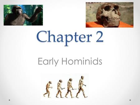 Chapter 2 Early Hominids. 2.2: Australopithecus Afarensis: Lucy and Her Relatives Australopithecus o Earliest group of hominids o “Southern Ape” o Found.