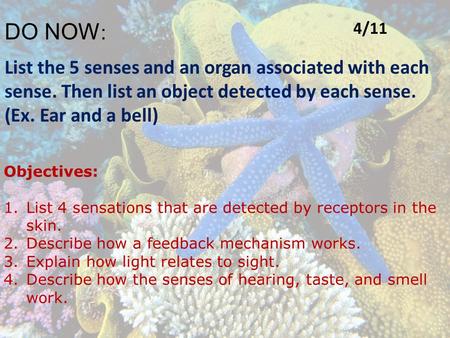 DO NOW : List the 5 senses and an organ associated with each sense. Then list an object detected by each sense. (Ex. Ear and a bell) Objectives: 1.List.