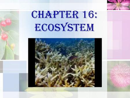 Chapter 16: ECOSYSTEM. Definition of Ecosystem: Related to ecologi system, i.e. interaction process between living things and non-living things existed.