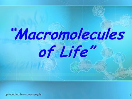 1 “Macromolecules of Life” ppt adapted from cmassengale.