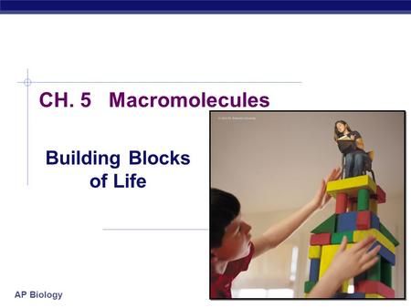 AP Biology 2007-2008 CH. 5 Macromolecules Building Blocks of Life.