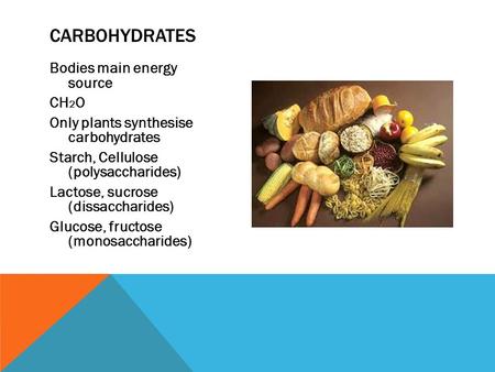 Bodies main energy source CH 2 O Only plants synthesise carbohydrates Starch, Cellulose (polysaccharides) Lactose, sucrose (dissaccharides) Glucose, fructose.