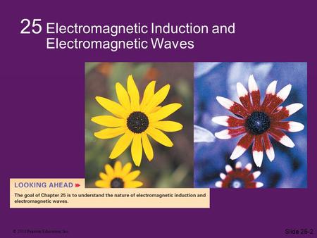 © 2010 Pearson Education, Inc. Slide 25-2 25 Electromagnetic Induction and Electromagnetic Waves.