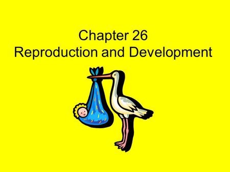 Chapter 26 Reproduction and Development