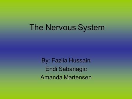 The Nervous System By: Fazila Hussain Endi Sabanagic Amanda Martensen.